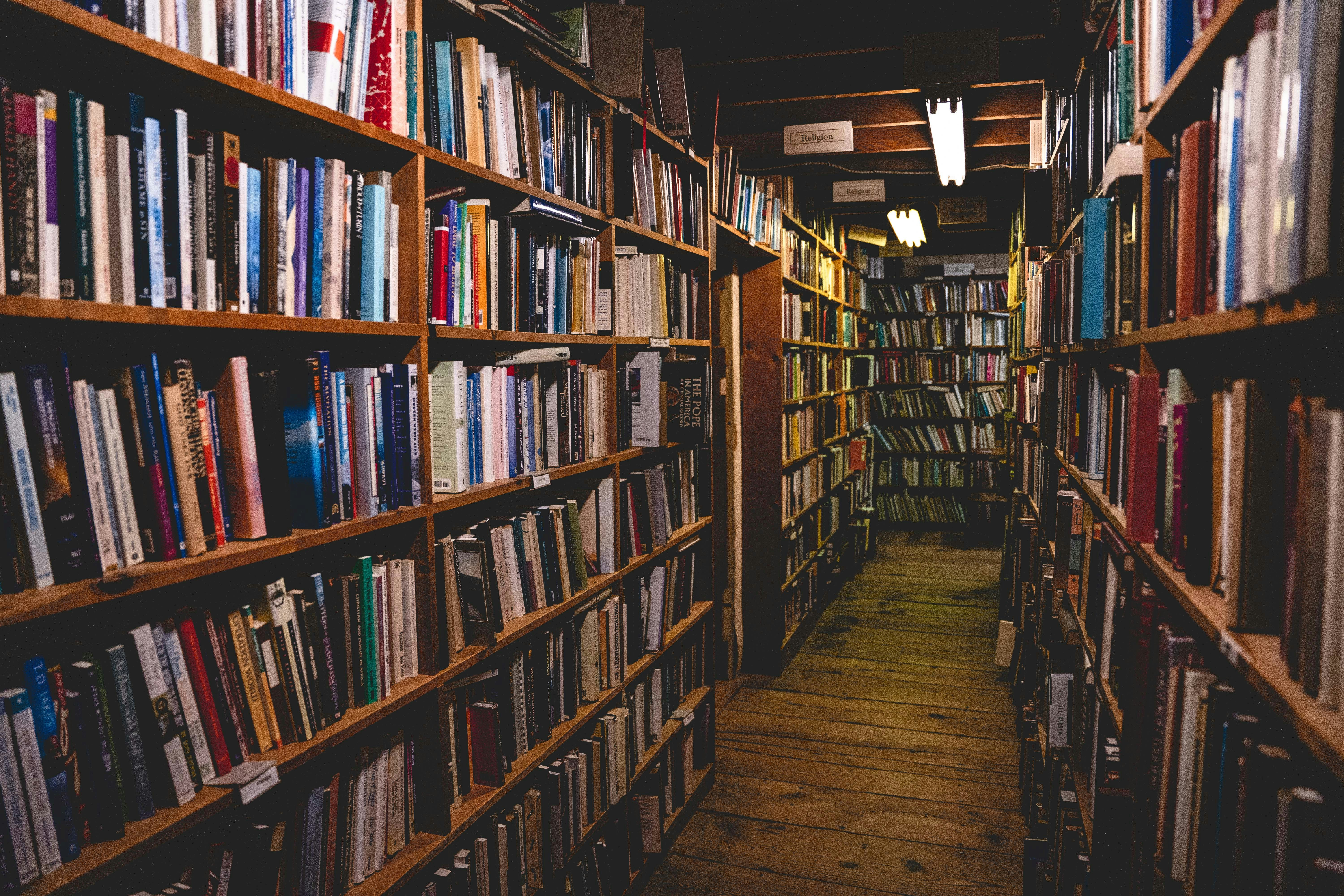 Photo by Dan Wayman on Unsplash